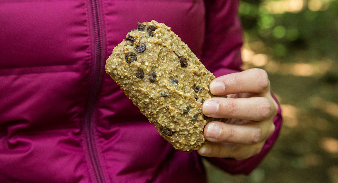 Homemade Protein Bar - recipe and blog